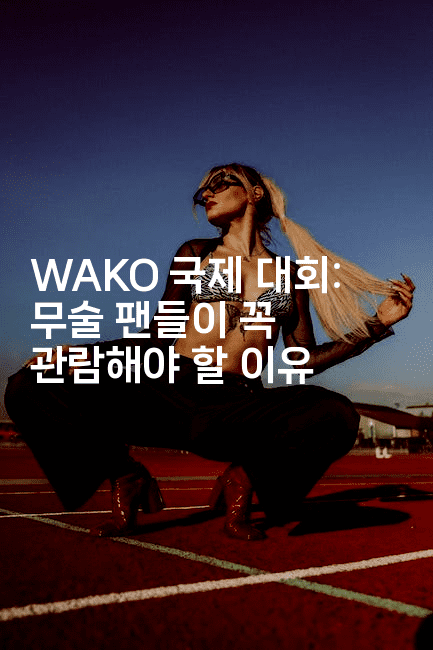 WAKO 국제 대회: 무술 팬들이 꼭 관람해야 할 이유2-키티슈디