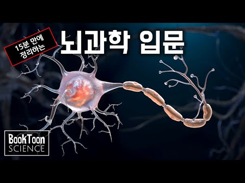 15분 만에 정리하는 뇌과학(신경과학) 입문 [북툰 과학다큐]