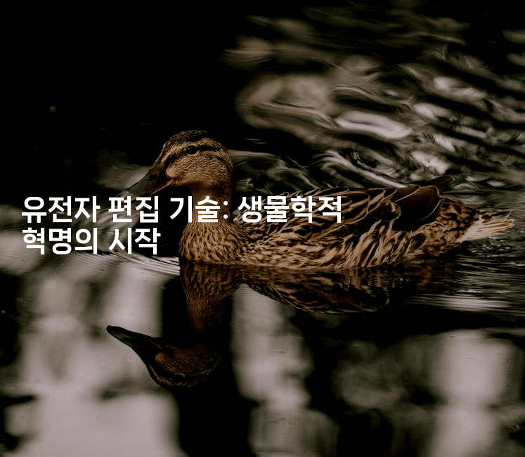 유전자 편집 기술: 생물학적 혁명의 시작2-키티슈디