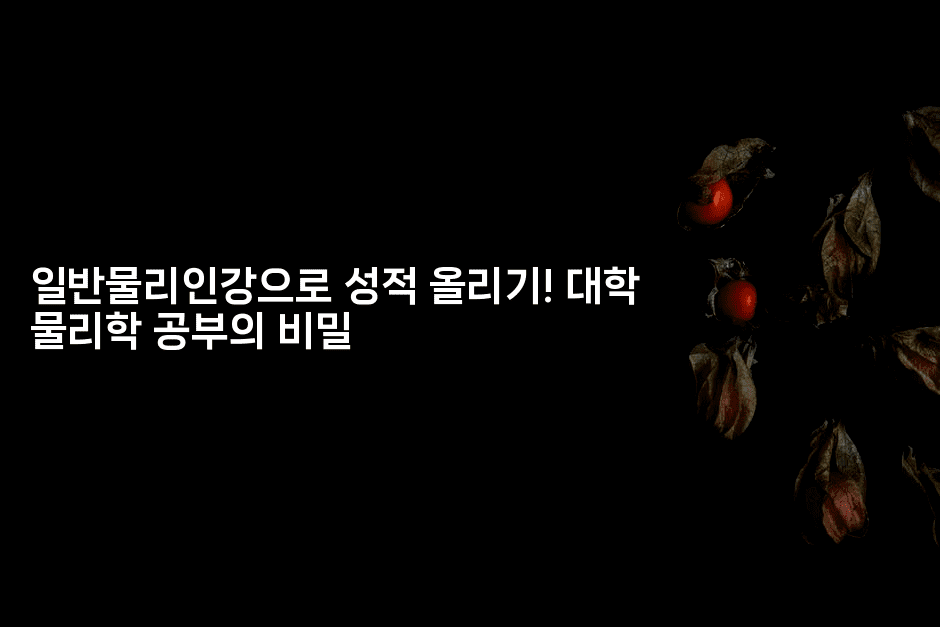 일반물리인강으로 성적 올리기! 대학 물리학 공부의 비밀2-키티슈디