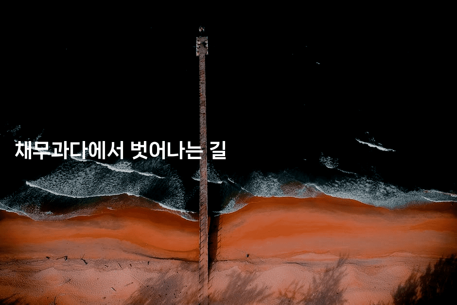 채무과다에서 벗어나는 길-키티슈디