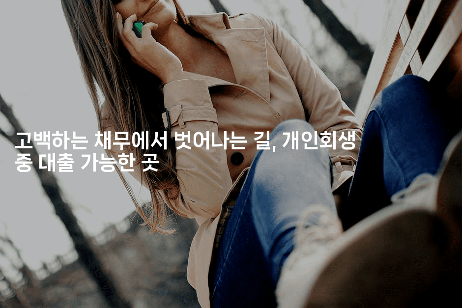 고백하는 채무에서 벗어나는 길, 개인회생 중 대출 가능한 곳-키티슈디