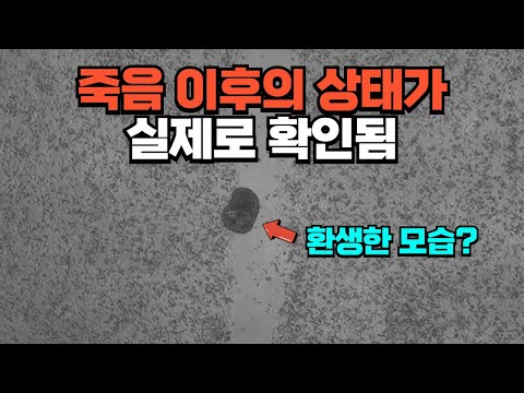 과학자들은 죽음을 넘어서는, 제 3의 상태의 존재를 확인했습니다.