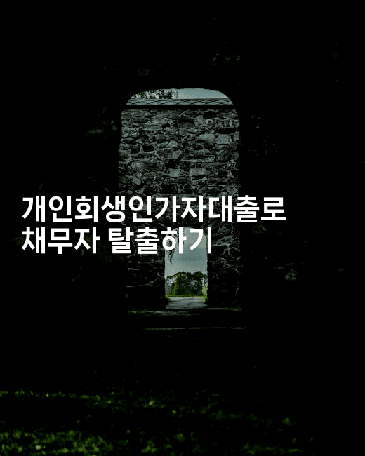 개인회생인가자대출로 채무자 탈출하기-키티슈디