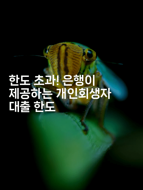 한도 초과! 은행이 제공하는 개인회생자 대출 한도-키티슈디