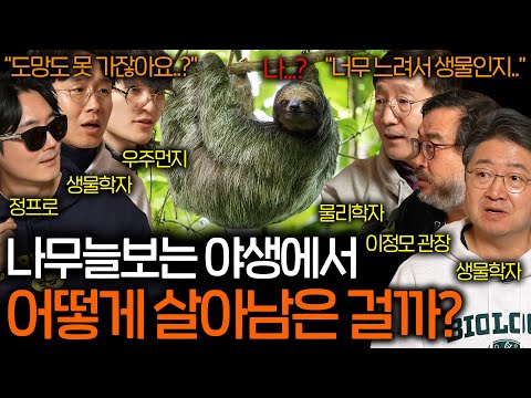 느려터진 나무늘보가 야생에서 살아남은 놀라운 진화 (이미 멸종했어야..) | 과학을 보다 EP.107