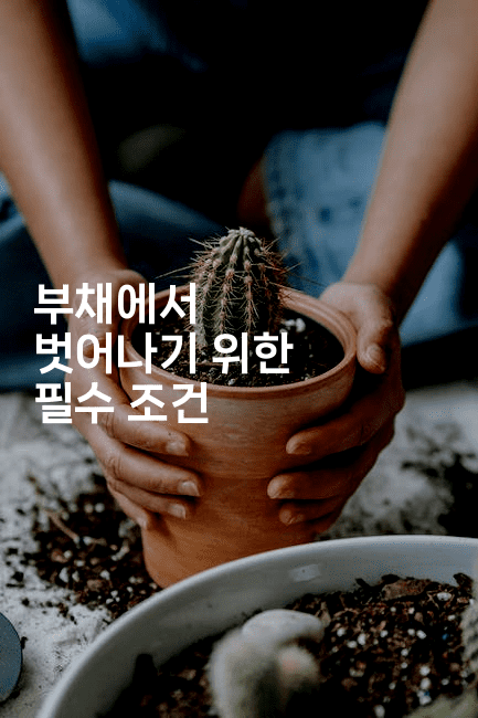 부채에서 벗어나기 위한 필수 조건-키티슈디