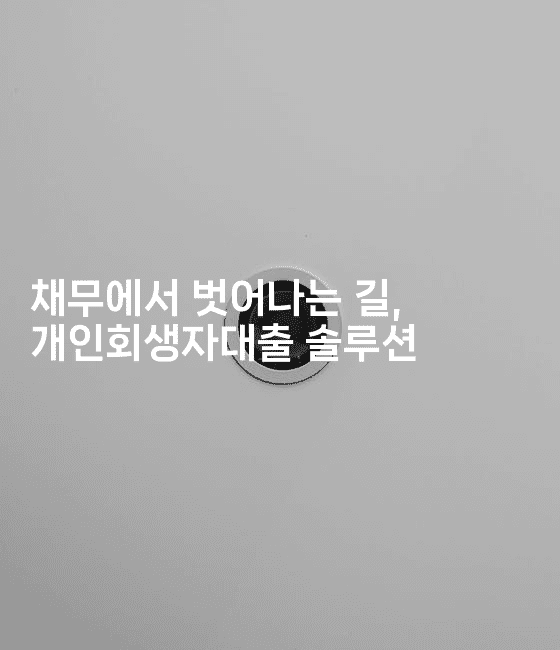 채무에서 벗어나는 길, 개인회생자대출 솔루션-키티슈디