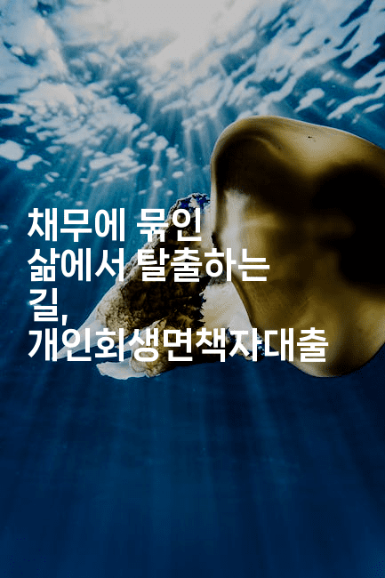 채무에 묶인 삶에서 탈출하는 길, 개인회생면책자대출-키티슈디